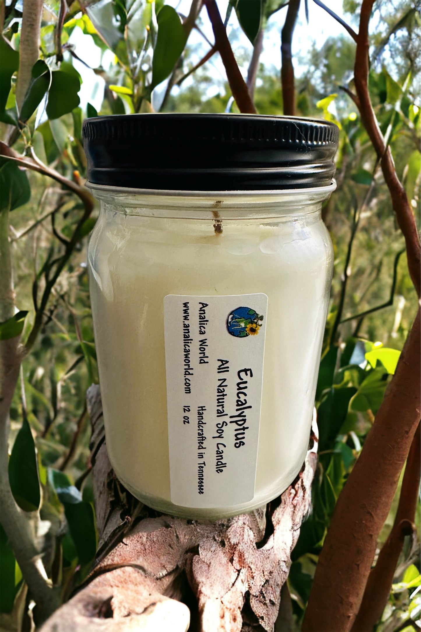 Eucalyptus -Soy Candle